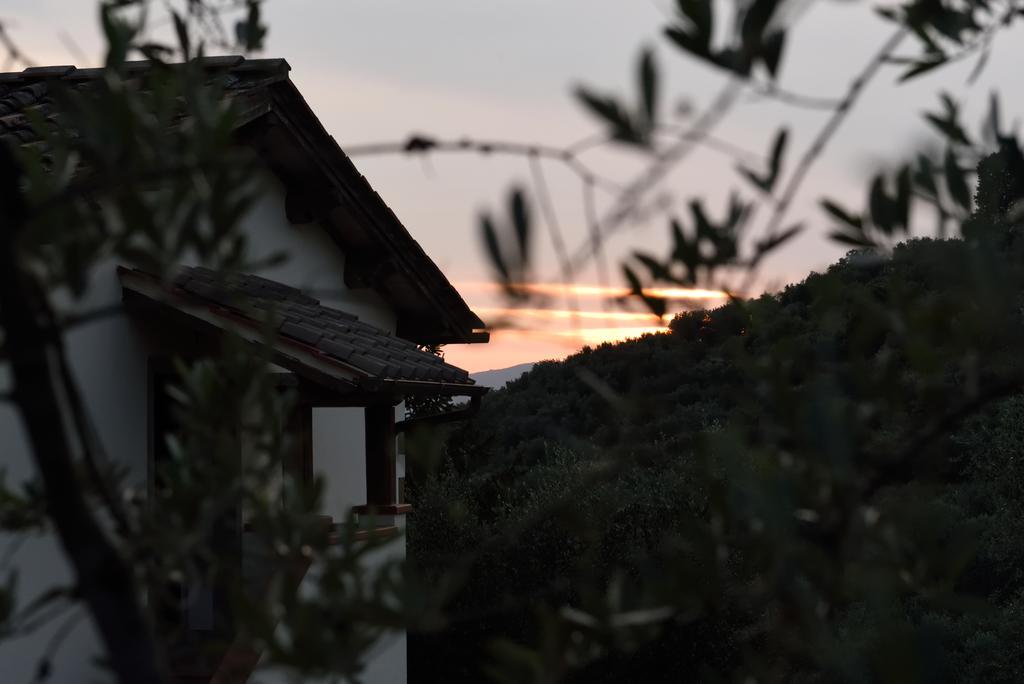 Agriturismo La Casuccia Castelfranco di Sopra Exterior foto